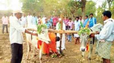 ತೊರೆನೂರಲ್ಲಿ ವೈಭವದ ಹೊನ್ನಾರು ಉತ್ಸವ