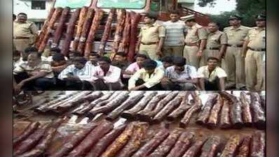 చిత్తూరులో 11 మంది ఎర్రచందనం స్మగ్లర్ల అరెస్ట్