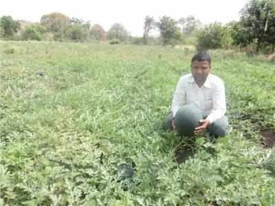 शेततळ्यांच्या माध्यमातून फुलवले नंदनवन