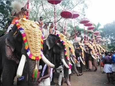 कड़ी सुरक्षा और प्रतिबंधों के बीच शुरू हुआ त्रिशूर पूरम उत्सव