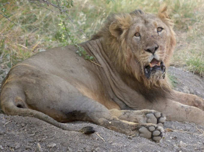 गुजरात के सौराष्ट्र में सूखे का भयानक चेहरा