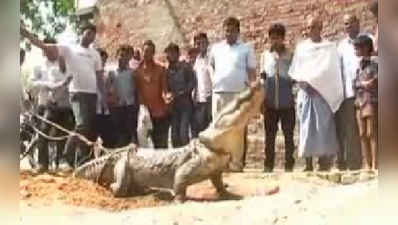 జలాశయాలు ఎండి గ్రామాల్లోకి మొసళ్లు..