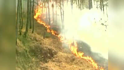 बेकाबू हुई जंगल की आग, 6 की मौत और हजारों पेड़ खाक