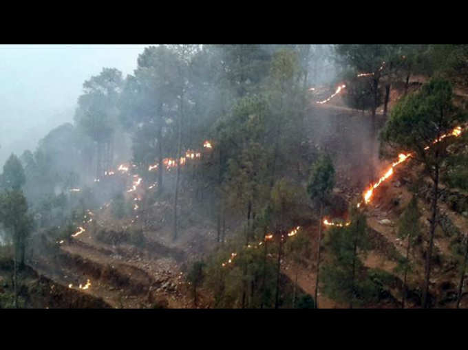 उत्तराखंड के जंगलों में आग का कहर जारी