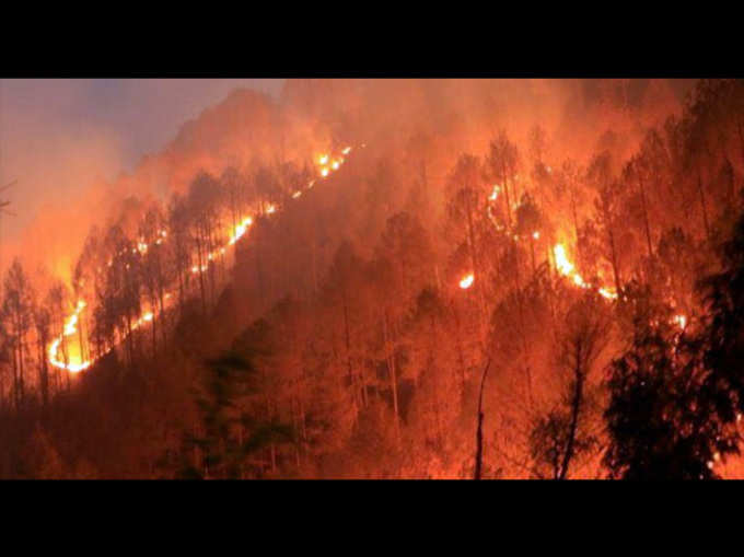 उत्तराखंड के जंगलों में आग का कहर जारी