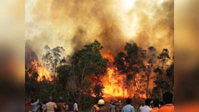 उत्तराखंड: जंगल की आग का पड़ेगा ग्लेशियर पर असर