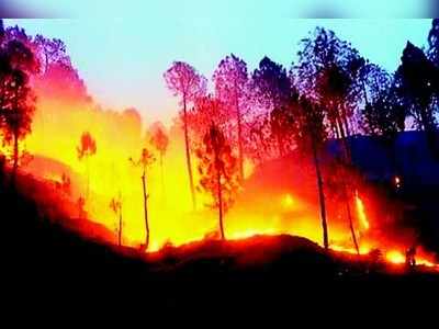 ಉತ್ತರಾ ಖಂಡದಲ್ಲಿ ಆರದ ಕಿಚ್ಚು : ಹಿಮಾಚಲದಲ್ಲೂ ಆತಂಕ