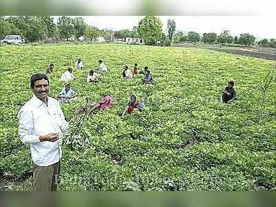 খরা মোকাবিলায় উজ্জ্বল দৃষ্টান্ত এই গ্রাম