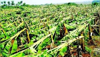 ಮೊದಲ ಮಳೆ ತಂದ ಸಂಕಷ್ಟ