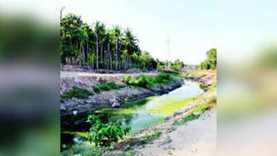 ಪ್ರತಿಷ್ಠೆಯ ರಾಜಕೀಯಕ್ಕೆ ರೈತರ ಬೆಳೆ ಬಲಿ