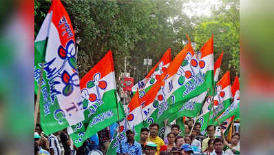केरल चुनाव: तृणमूल कांग्रेस को आधिकारिक चिह्न का इस्तेमाल करने की अनुमति नहीं