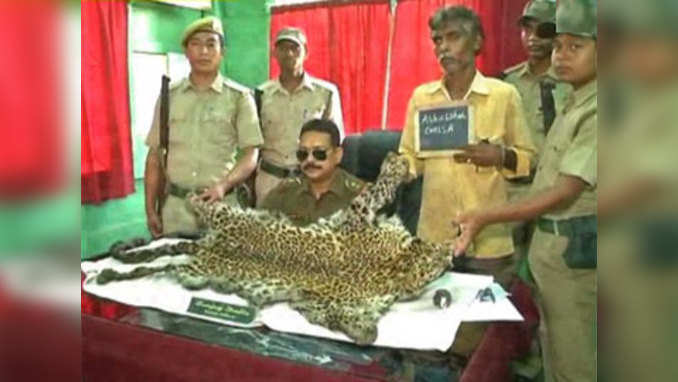 Forest officials arrest smuggler with leopard skin 