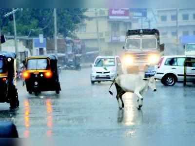 ರಾಜ್ಯಾದ್ಯಂತ ಭಾರೀ ಮಳೆ ಸಂಭವ