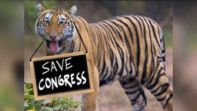 हवाबाज़ी: बाघों ने शुरू किया Save Congress कैंपेन