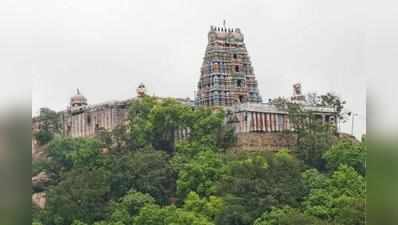 ராஜ அலங்காரத்தில் விராலிமலை முருகன்