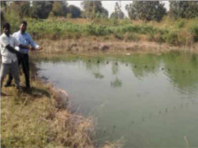 महाराष्ट्रः तालाब में मोती उगाने वाले किसान के यहां फिर हुई चोरी
