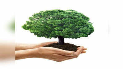 मॉनसून में 1 लाख पेड़ लगाने का BMC का लक्ष्य
