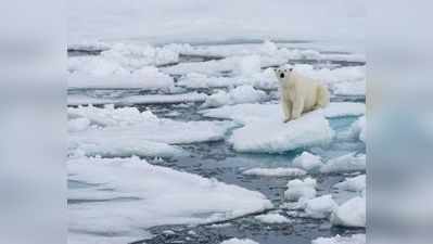 वैज्ञानिक का दावा, 1 लाख साल में पहली बार इस साल आर्कटिक से गायब हो जाएगी बर्फ