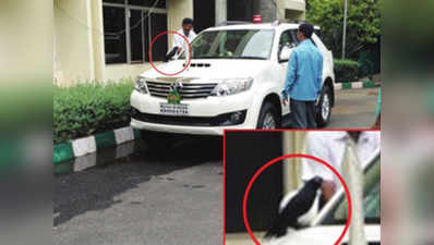 कर्नाटक: CM सिद्धारमैया की SUV पर बैठा कौवा, खरीदी गई नई टोयोटा फॉर्च्यूनर!