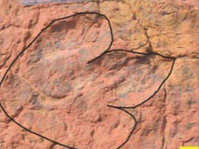 राजस्थान में मिले डायनासोर के 15 करोड़ साल पुराने पदचिन्ह