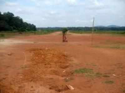 മെത്രാന്‍ കായലിലും ആറന്മുള വിമാനത്താവളത്തിലും കൃഷിയിറക്കും