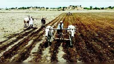 ಬಿತ್ತನೆ ಕಾರ್ಯ ಚುರುಕು