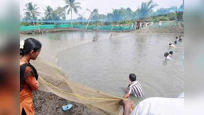 कर्नाटक में जल्द होंगे किसानों के लिए एक लाख तालाब
