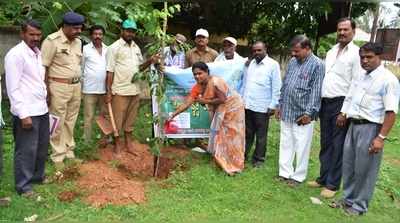 ಪರಿಸರ ಸಂರಕ್ಷಣೆಗೆ ಹೆಚ್ಚಿನ ಒತ್ತು ನೀಡಿ