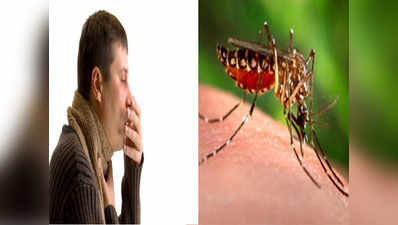 पिछले 5 सालों में मुंबई में लगातार बढ़ी है डेंगू और टीबी मरीजों की संख्याः सर्वे