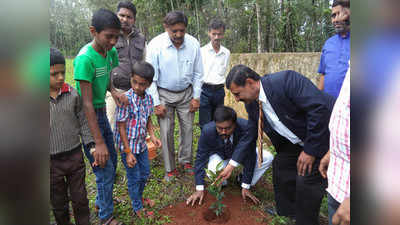 ಮರ ಹನನವಾಗದಂತೆ ಎಚ್ಚರವಹಿಸಿ