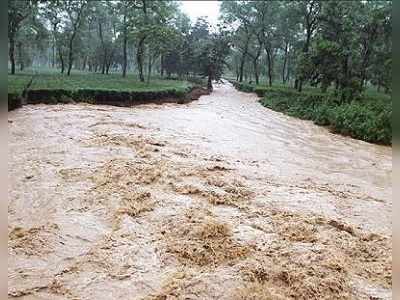 টানা বর্ষণে বিপুল ক্ষতি চা-শিল্পে