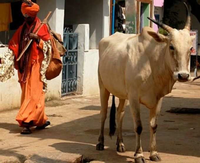 जानें, ऐसे प्रॉपेगैंडा इस्तेमाल कर बनाते हैं गोरक्षक!