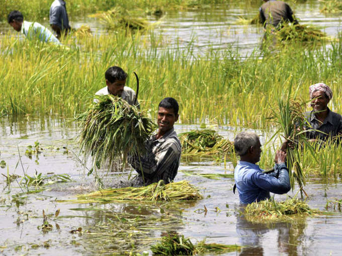 मॉनसून की बारिश ने मचाई ऐसी तबाही