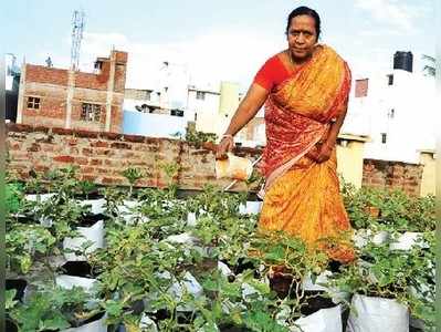 ತರಕಾರಿ ಗಾರ್ಡನ್‌ ಹೀಗಿರಲಿ