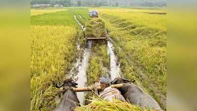 राजस्थान: किसानों के लिए 6 और सिंचाई योजनाएं