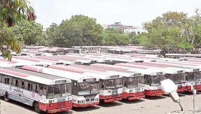 పుష్కర ఘాట్‌లకు ఉచిత బస్సుల్లో....