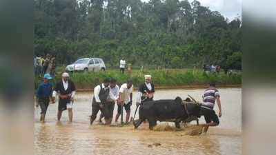 ಬಿದ್ದಾಟಂಡ ಗದ್ದೆಯಲ್ಲಿ‘ಬೇಲ್ ನಮ್ಮೆ’ಸಂಭ್ರಮ