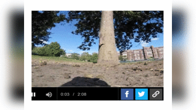 विडियो: क्या हुआ, जब गिलहरी के हाथ लगा कैमरा?
