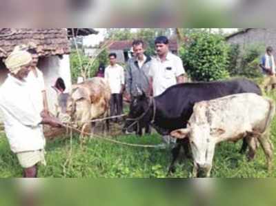 ಗುಡಿಸಲಿಗೆ ಬೆಂಕಿ: ಜಾನುವಾರು ಗಾಯ