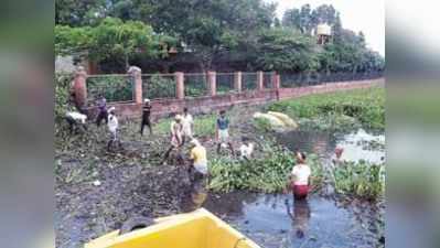 ಉಣಕಲ್‌ ಜಲಕಳೆ ಕಿಳಲು ಕಾರ್ಮಿಕರ ಬಳಕೆ