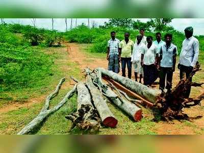 ಮರ ಸಾಗಣೆ; ಗ್ರಾಮಸ್ಥರ ವಿರೋಧ