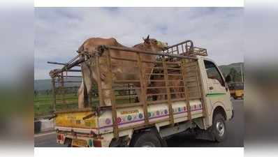 कर्नाटक: गोरक्षकों ने बीजेपी कार्यकर्ता की हत्या की