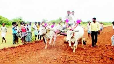 ‘ಜೋಡೆತ್ತು ಓಡ್ಯಾವ ದಿಗ್ಗನಂಗ’