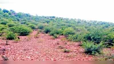 ಲಲಿತಕಲೆ ತೊಟ್ಟಿಲಲ್ಲೇ ವಿವಿ ಚಿಗುರೊಡೆಯಲಿ