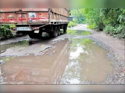 ​ উপাদান পৃথকীকরণের অভাবে সঙ্কট অনুচক্রিকার