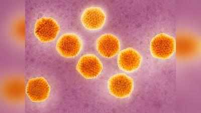 सिंगापुर में 13 भारतीय जीका वाइरस से संक्रमित