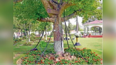 पाकिस्तान में 118 साल से गिरफ्तार है एक पेड़