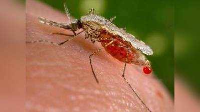 विश्व स्वास्थ्य संगठन ने श्रीलंका को मलेरिया मुक्त घोषित किया