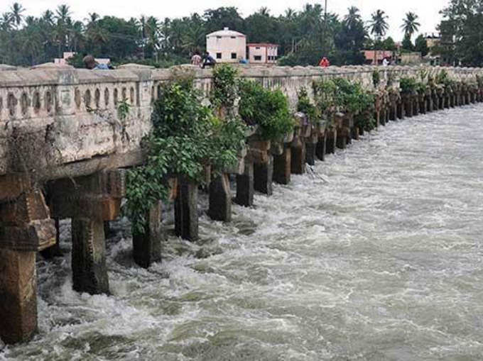 कावेरी जल विवाद: आखिर क्यों जंग ठनी है तमिलनाडु-कर्नाटक के बीच