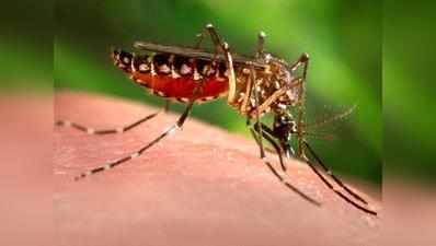 डेंगू और चिकनगुनिया ने बढ़ाई खून की कीमत